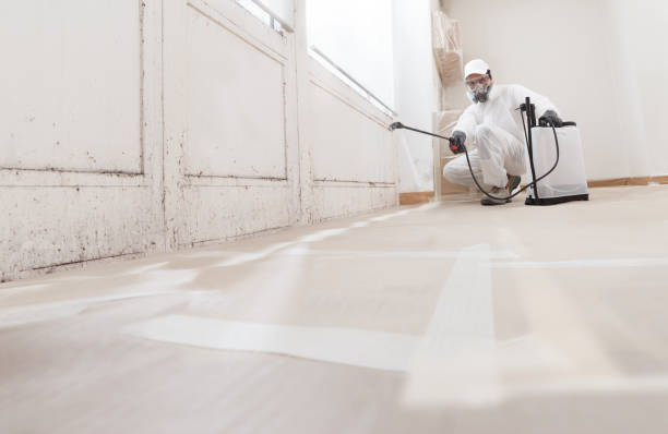 24/7 Emergency Attic Mold Removal experts in Belmar, NJ